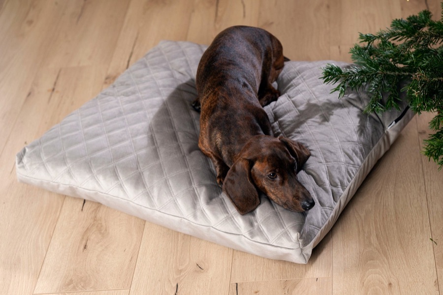 Square Oxford pute i velur med reversibel madrass