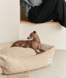 Beige saueull