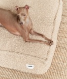 Beige saueull